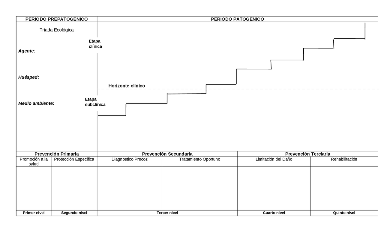 Historia natural de la enfermedad para llenar Esquemas y mapas conceptuales de Enfermería Historia natural de la enfermedad para llenar Esquemas y mapas conceptuales de Enfermería