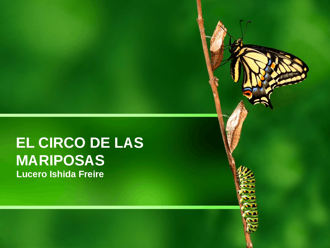 Analisis de el circo de las mariposas desde el punto de vista de rrhh