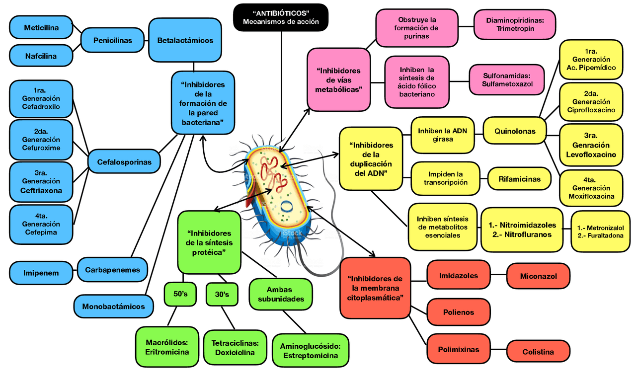 Clasificación de los antibióticos Docsity Clasificaci
ón de los antibióticos Docsity