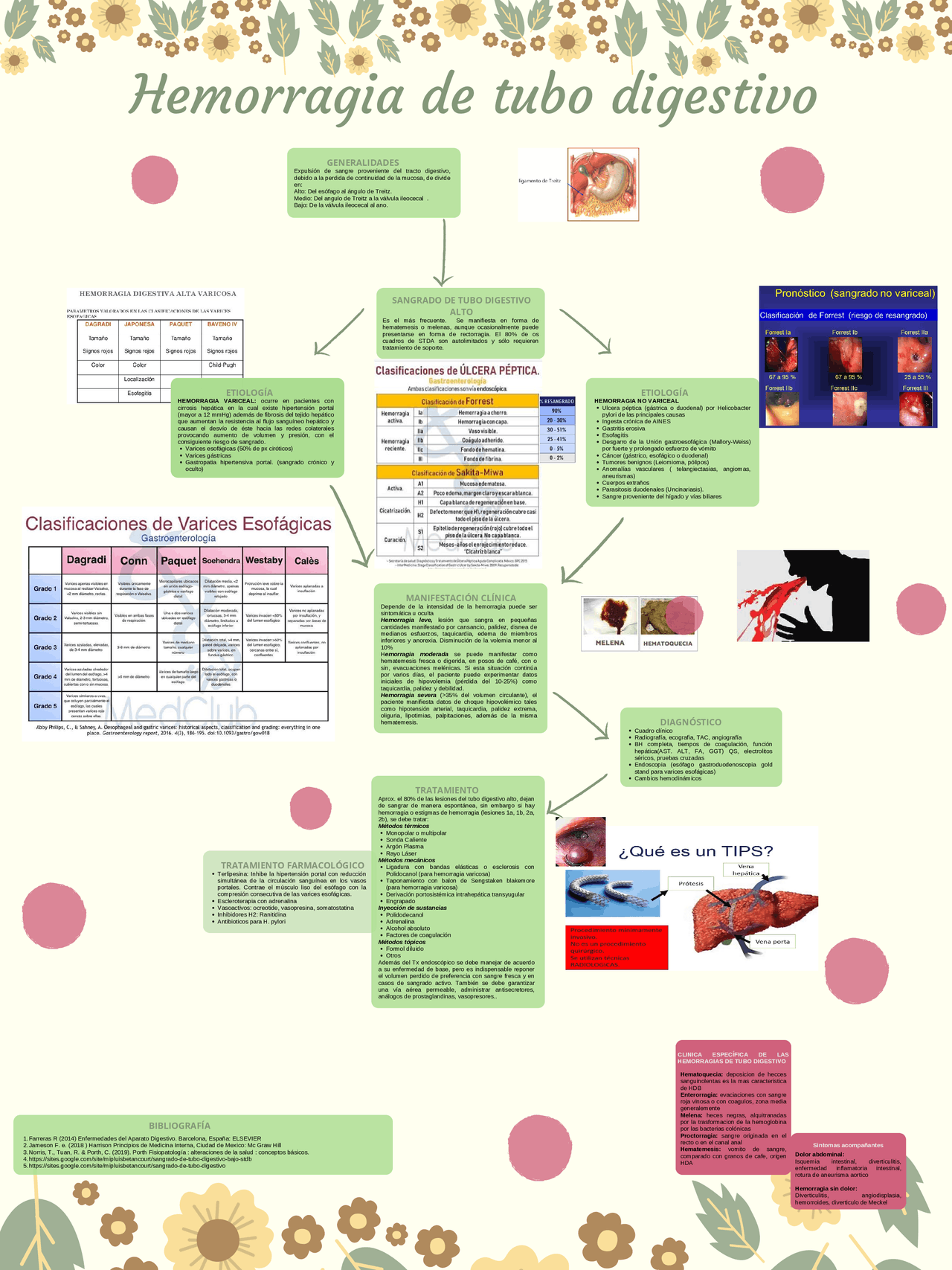 Hemorragia de tubo digestivo Esquemas y mapas conceptuales de Fisiopatología Docsity Hemorragia de tubo digestivo Esquemas y mapas conceptuales de Fisiopatología Docsity