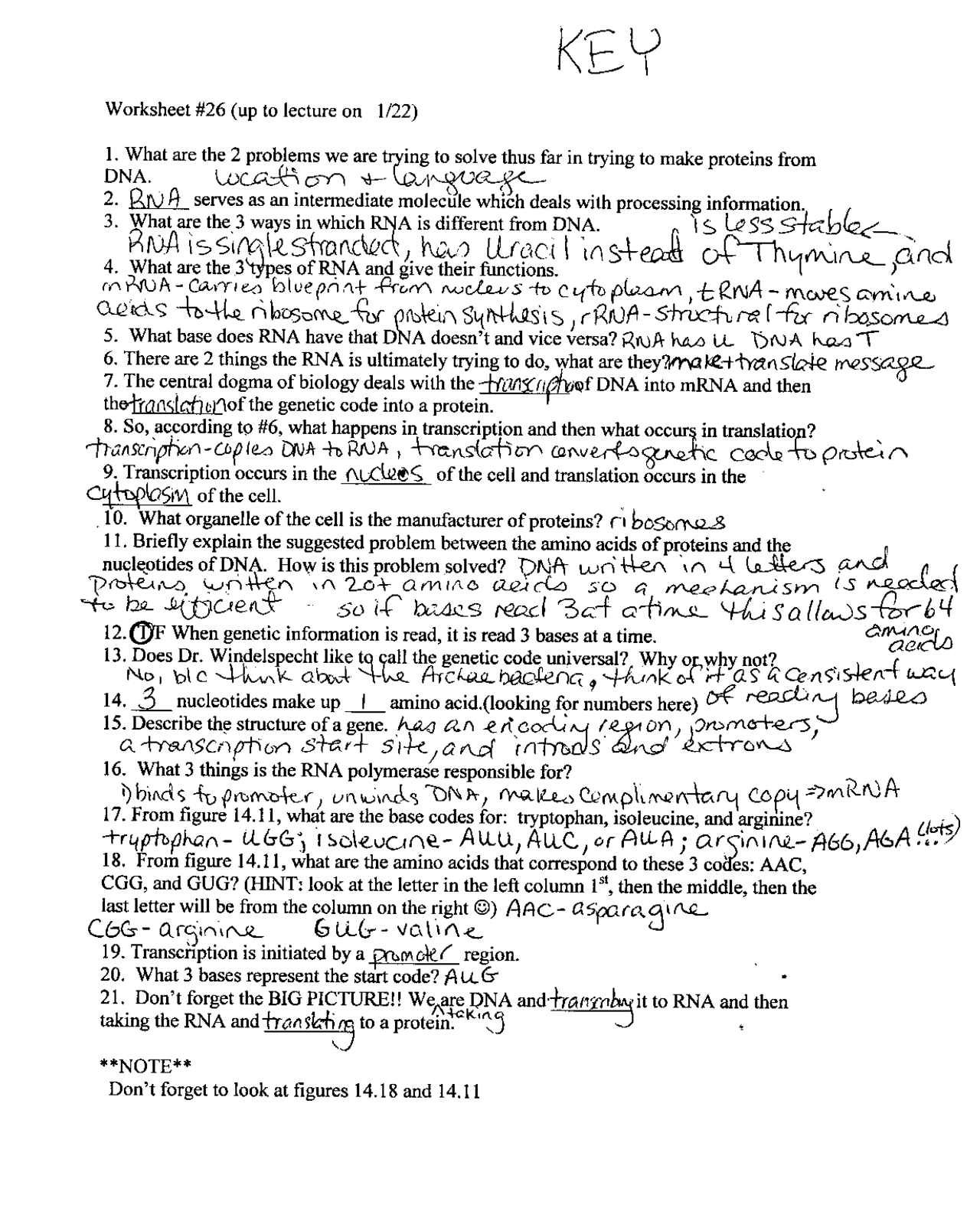 Worksheet Biology Keys BIO 1101 Docsity