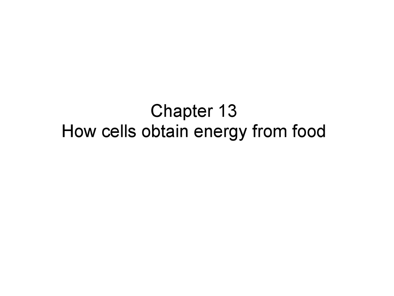 How cells obtain energy from food Chapter 13 BIOL 213 Docsity