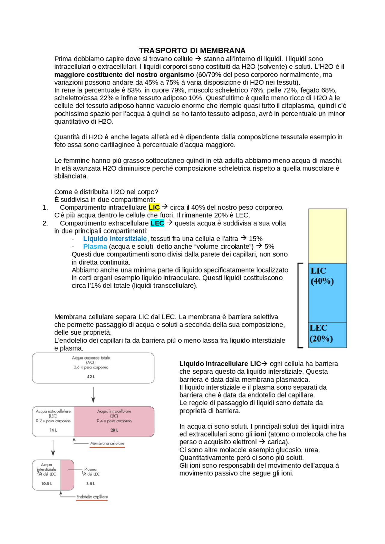 liquido interstiziale e extracellulare differenza Diapositiva 1 main image 1