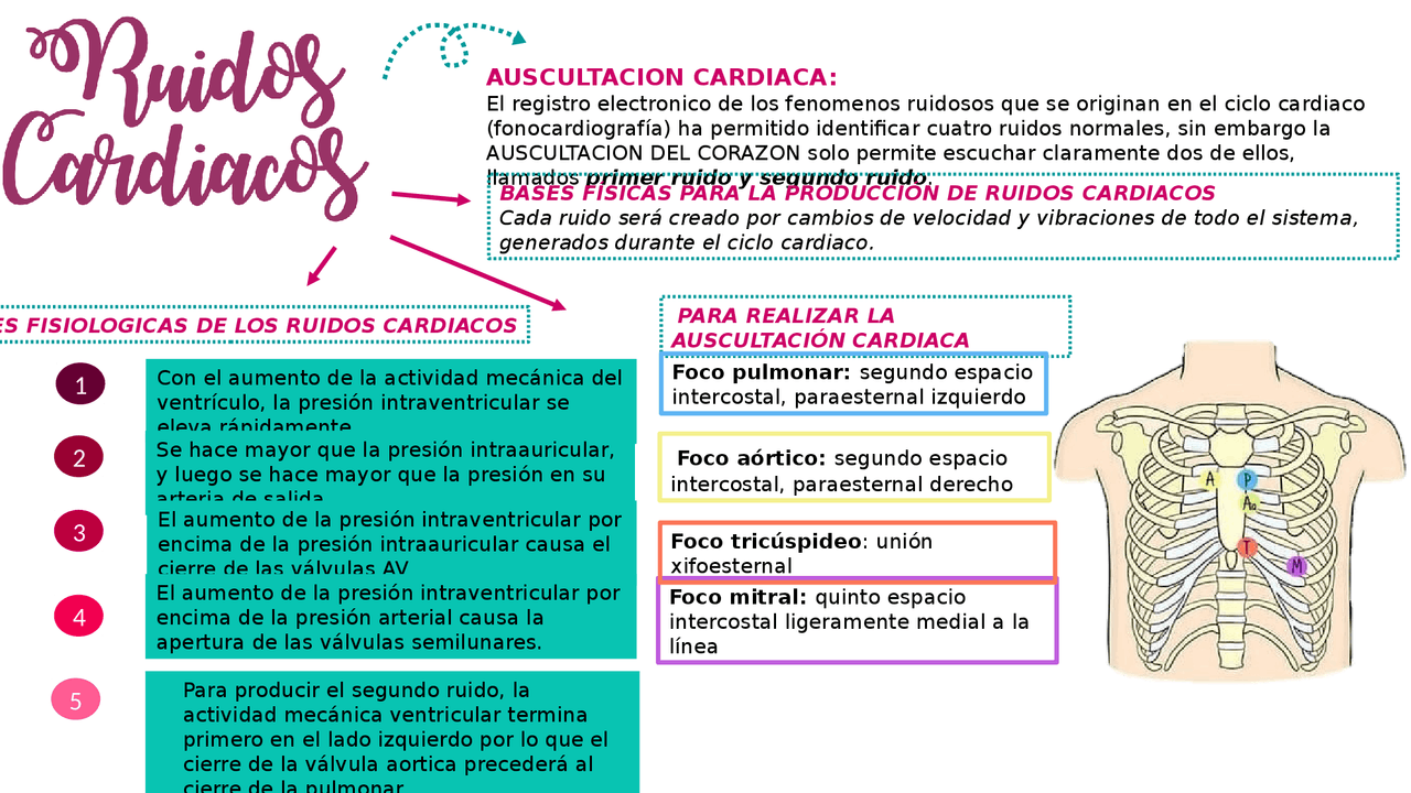 Mapa conceptual de ruidos cardiacos | Esquemas y mapas conceptuales de ...