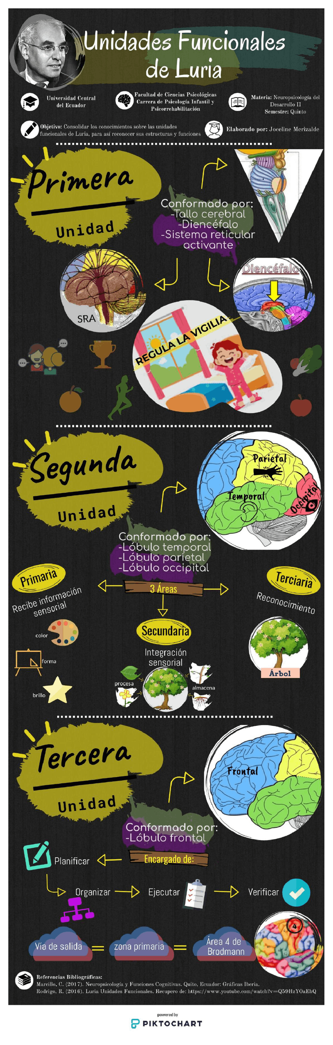 Infografía sobre las Unidades Funcionales de Luria | Esquemas y mapas ...