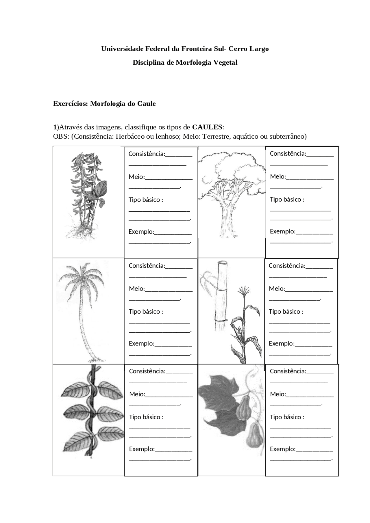 Exercícios morfologia do caule | Exercícios Morfologia das Plantas ...