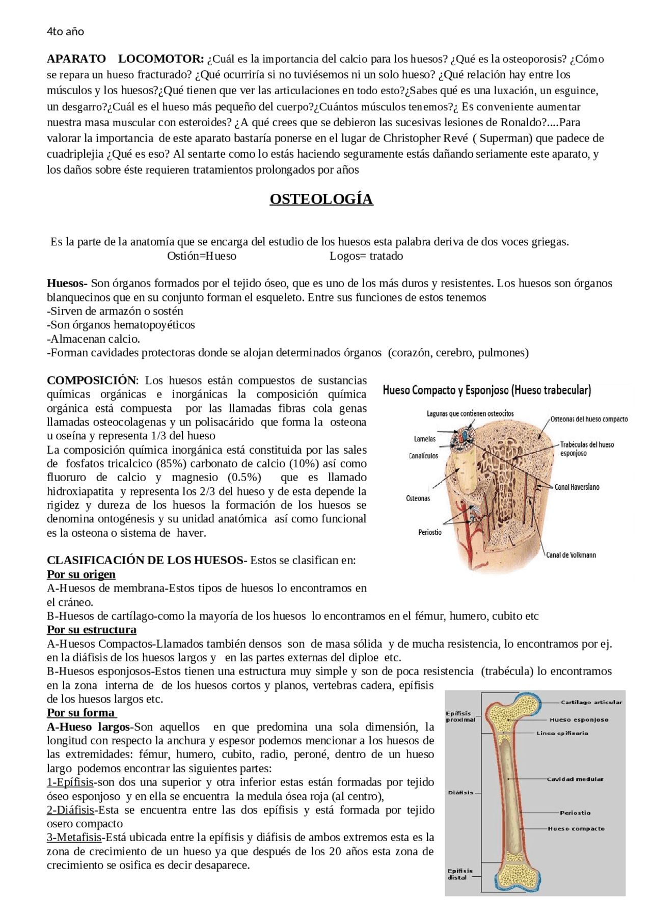 LA ANATOMIA Y SUS PARTES - Docsity