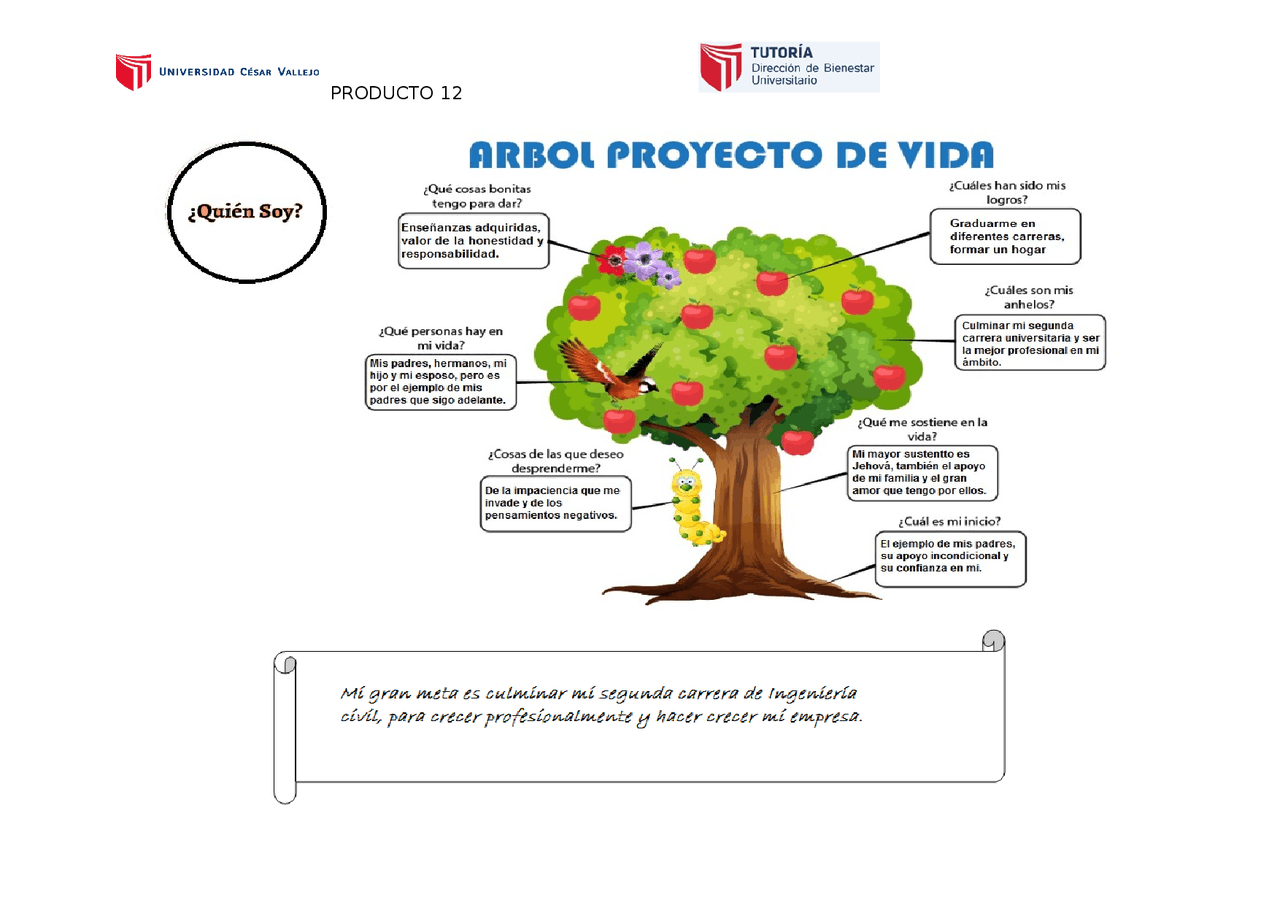 ÁRBOL PROYECTO DE VIDA | Esquemas y mapas conceptuales de Psicología
