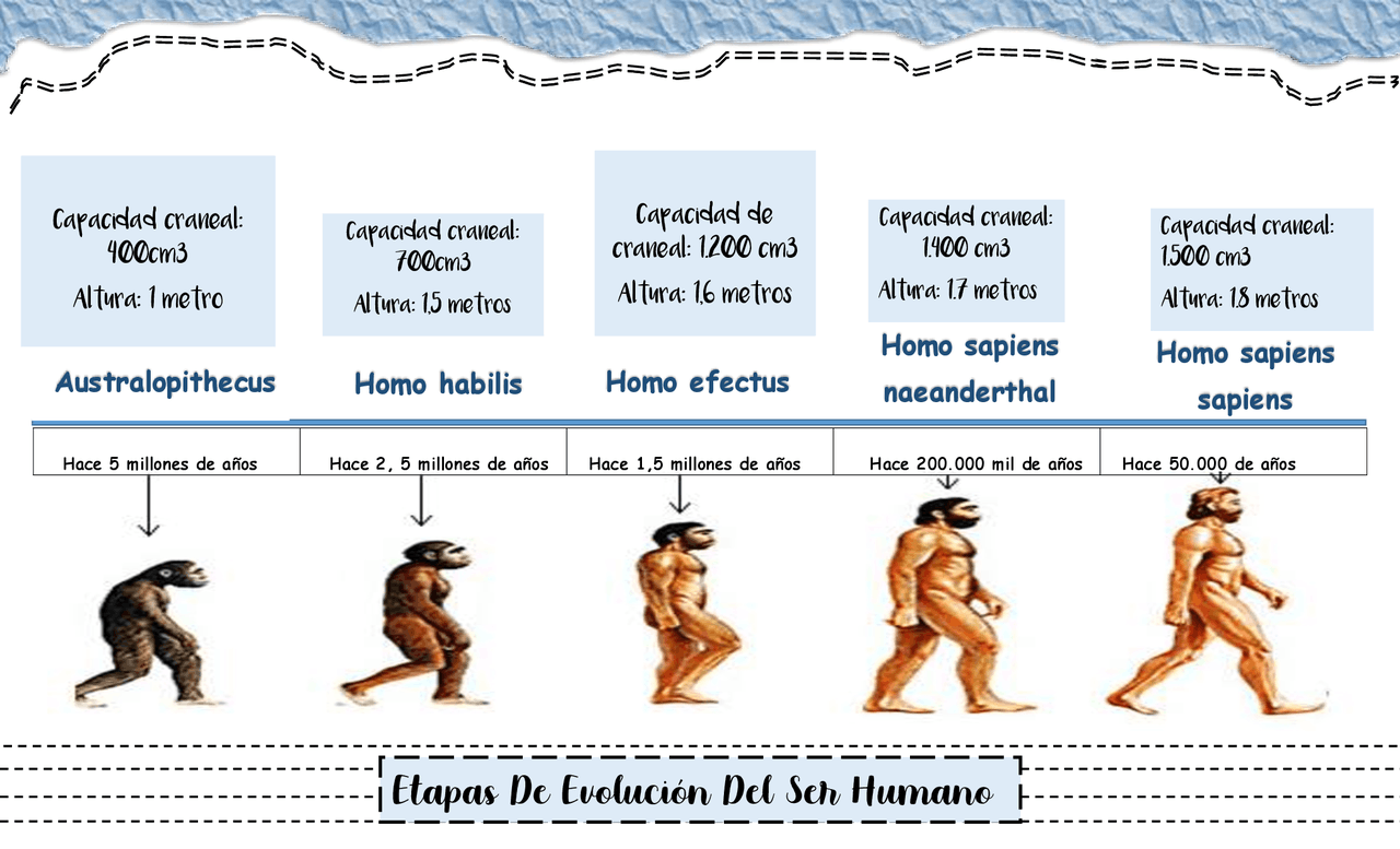 Linea de tiempo de ETAPAS DE EVOLUCIÓN del ser humano. Esquemas y mapas conceptuales de Linea de tiempo de ETAPAS DE EVOLUCIÓN del ser humano. Esquemas y mapas conceptuales de