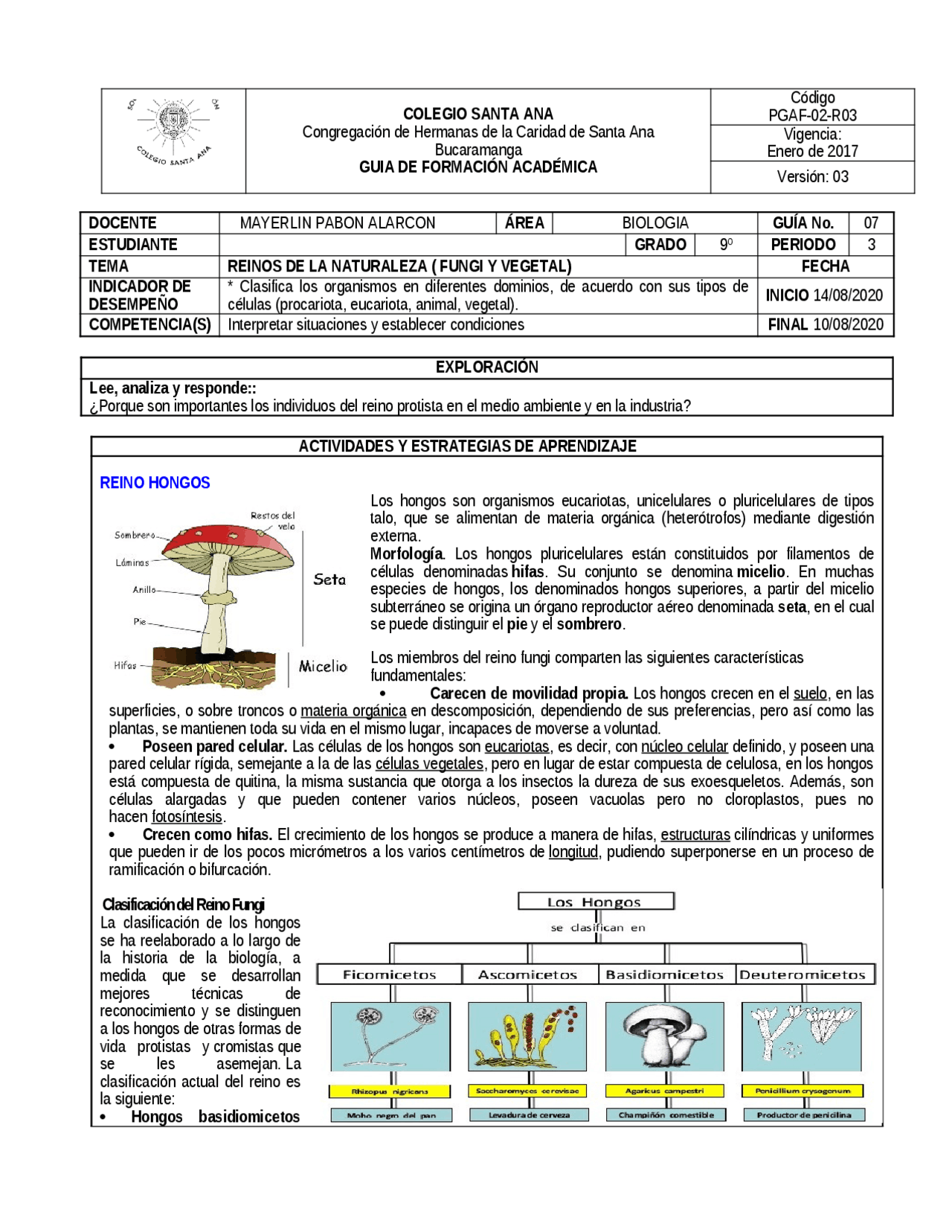Reino fungi y reino vegetal | Ejercicios de Biología | Docsity