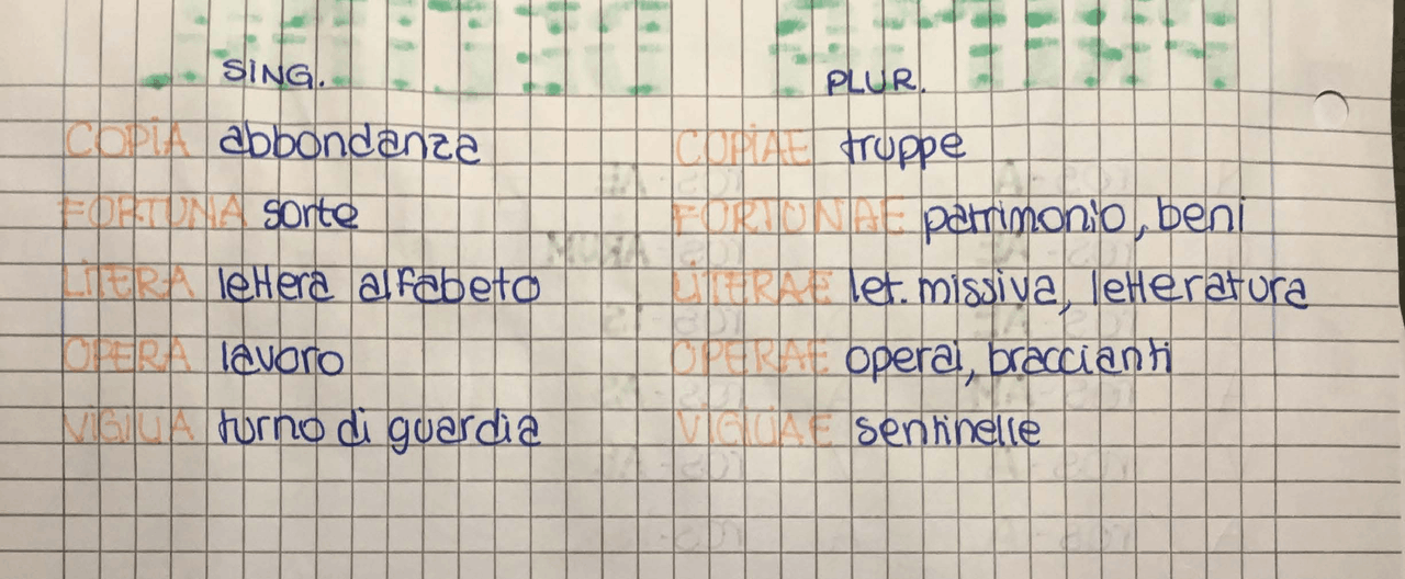 Frasi In Latino Da Tradurre Prima Declinazione