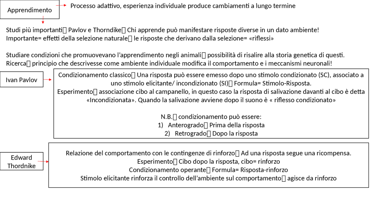 Esame cognitivi, psicologia e processi sociali/ Giannini - Docsity