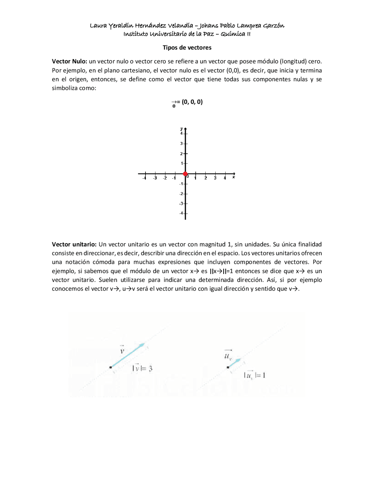 Tipos Vector Tipos De Vectores En Física : Tipos de Vectores en Física – PJSN