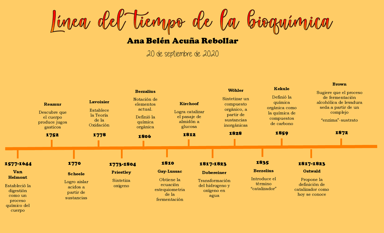 Linea De Tiempo Historia De La Bioquimica Udocz vrogue.co