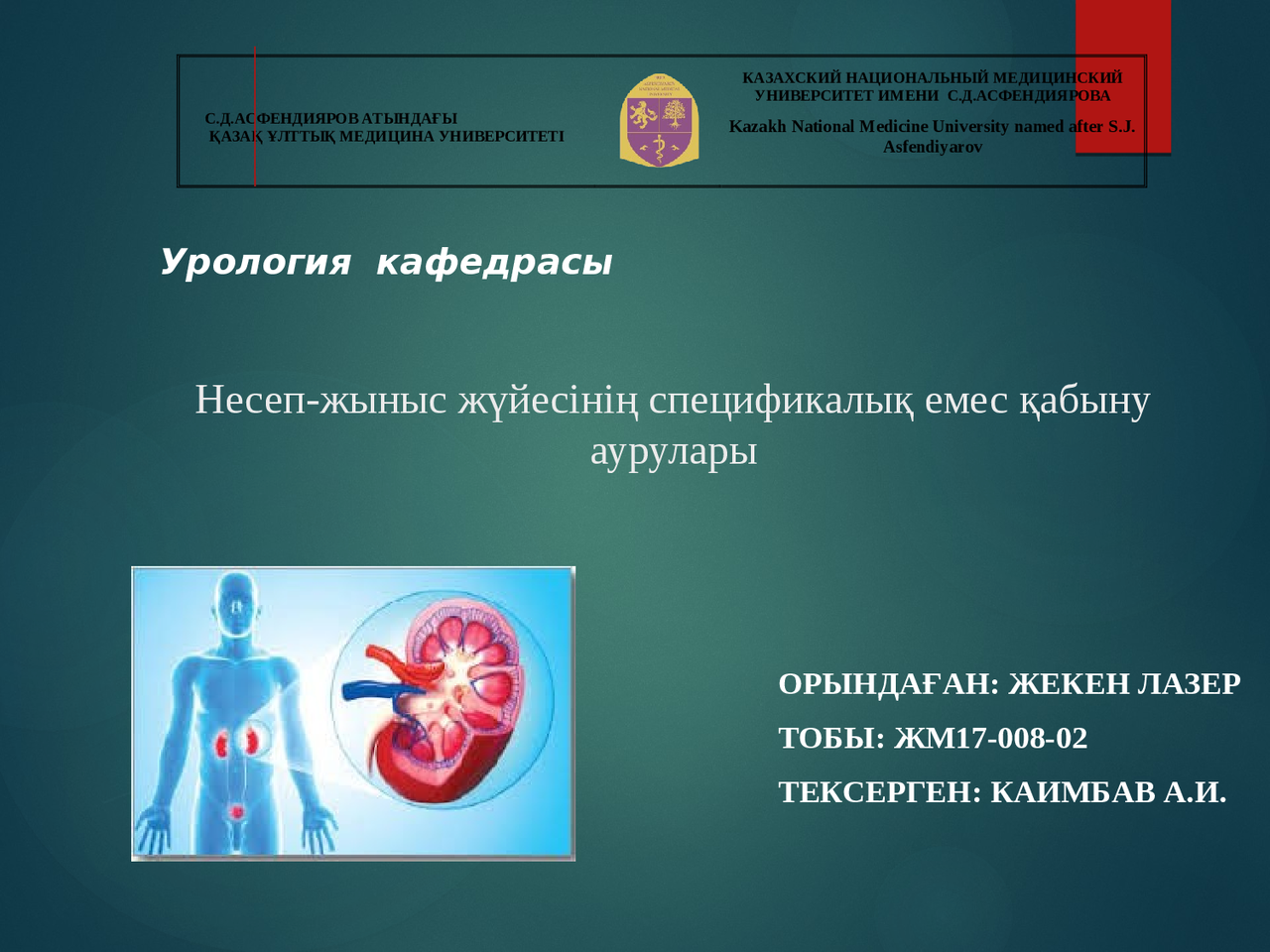 Жылдам жыныстық қатынасты көру