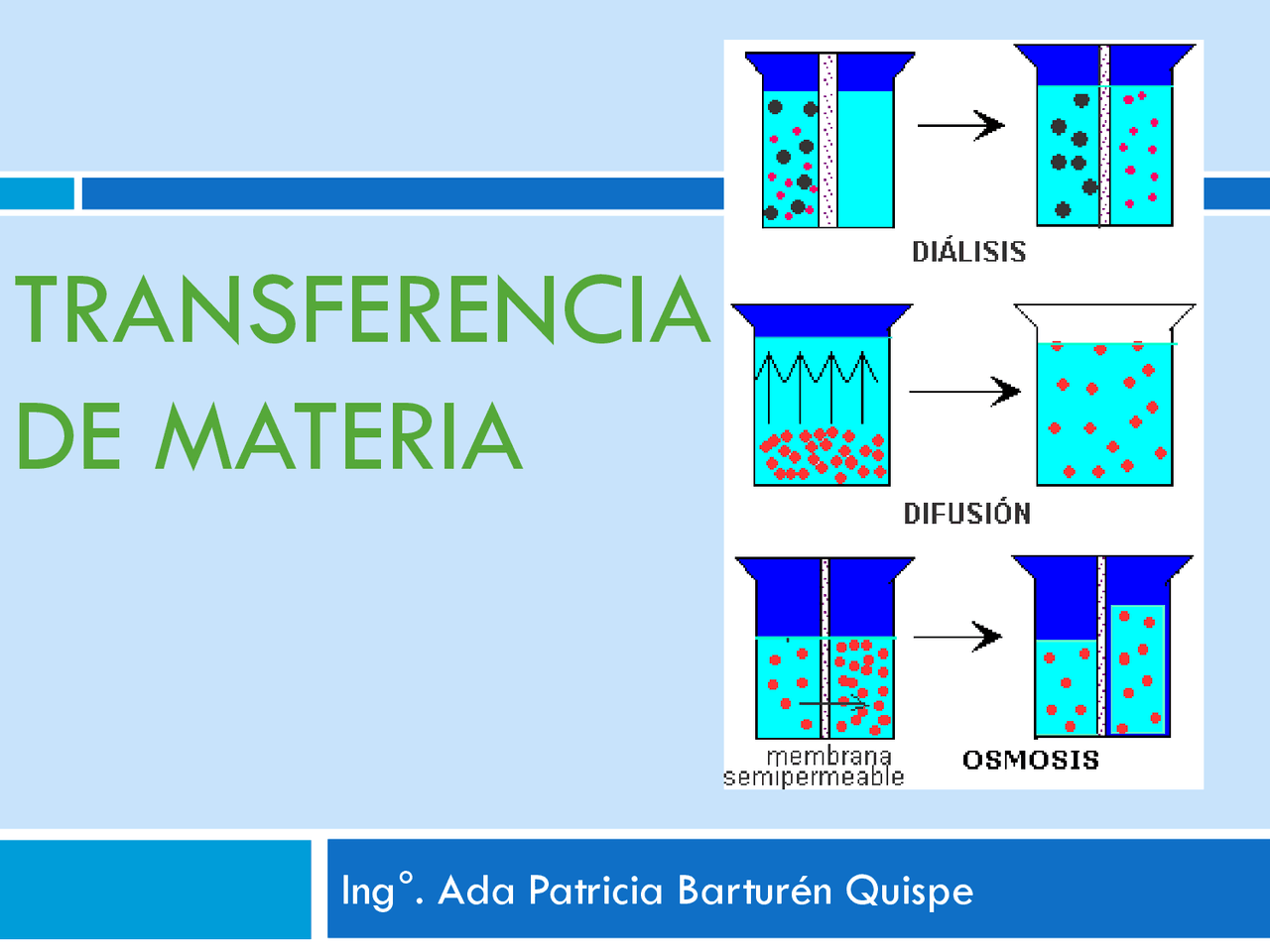 TRANSFERENCIA DE MATERIA APLICADO A LA BIOTECNOLOGIA | Diapositivas de