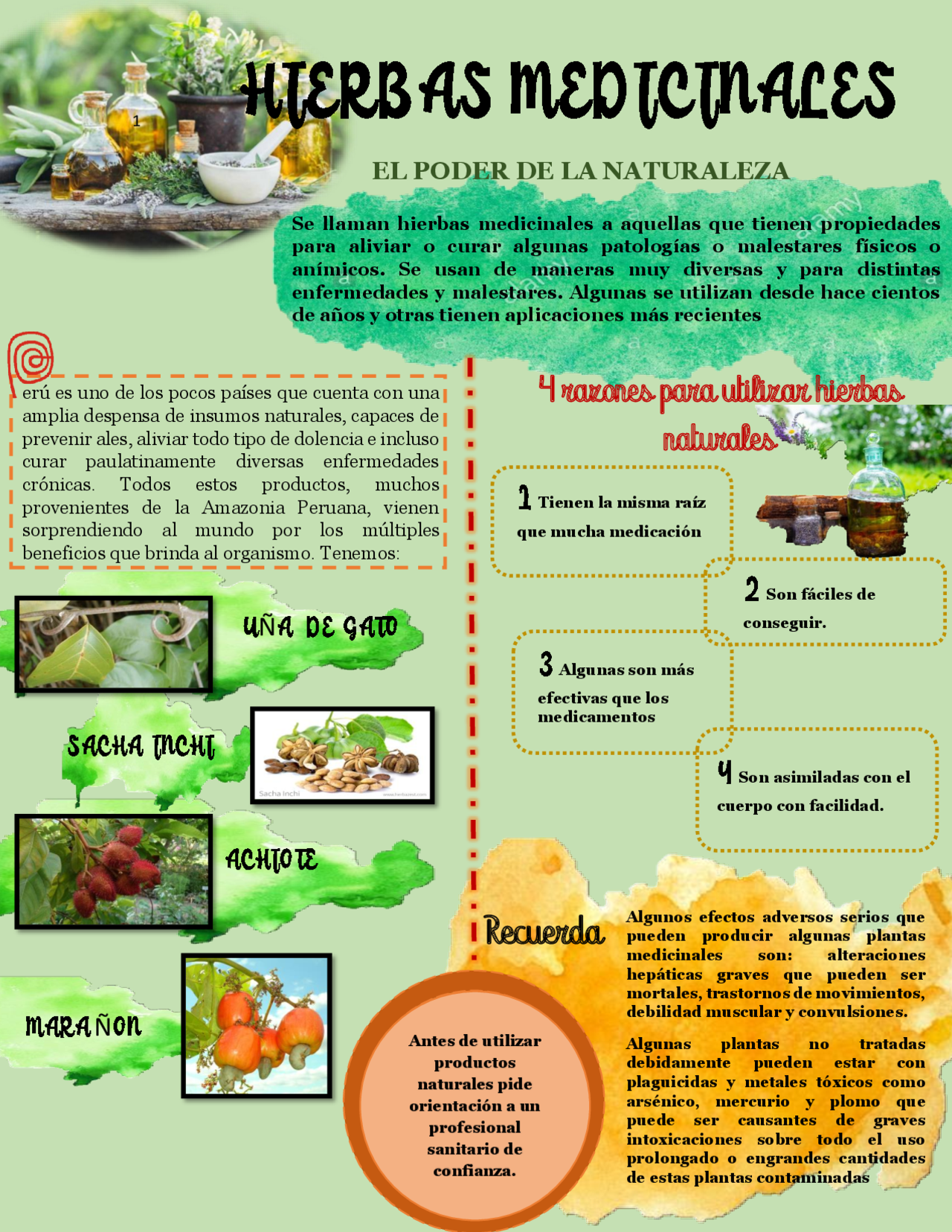 Afiche Plantas Medicinales Apuntes De Biolog a Oral Docsity