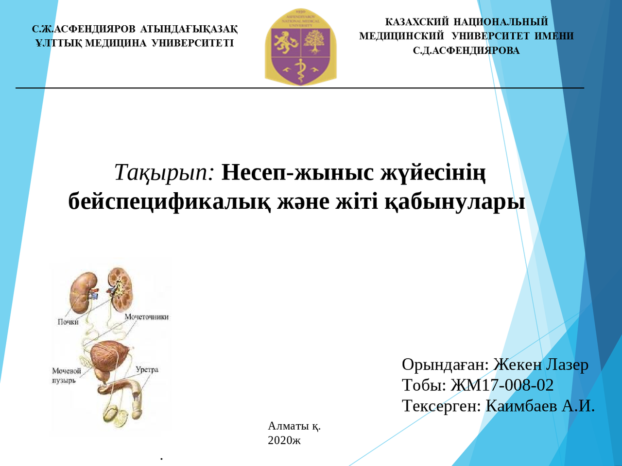 Күйеуі әйелінің трусисын есегінен жоғары итеріп жіберді.