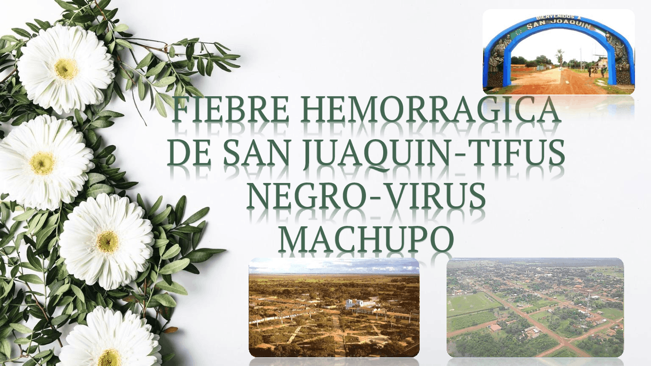 FIEBRE HEMORRAGICA DE SAN JUAQUIN/ TIFUS NEGRO/VIRUS MACHUPO UMSS ...