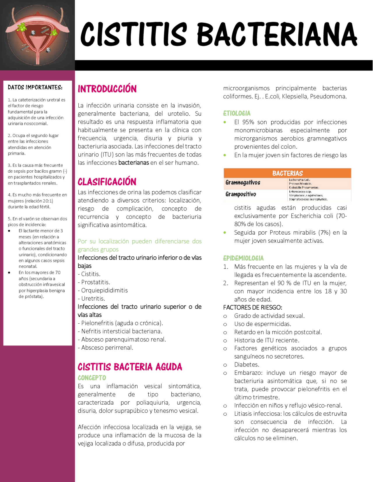 Cistitis Bacteriana Patologia Frecuente De Urologia Docsity Cistitis Bacteriana Patologia Frecuente De Urologia Docsity