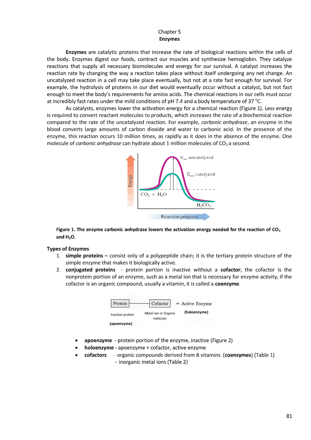 Biochemistry Enzymes Papers Biochemistry Docsity