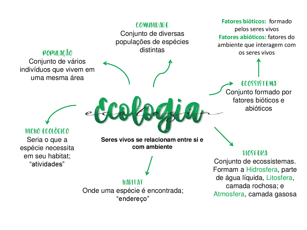 Mapa Mental Sobre Ecologia - RETOEDU