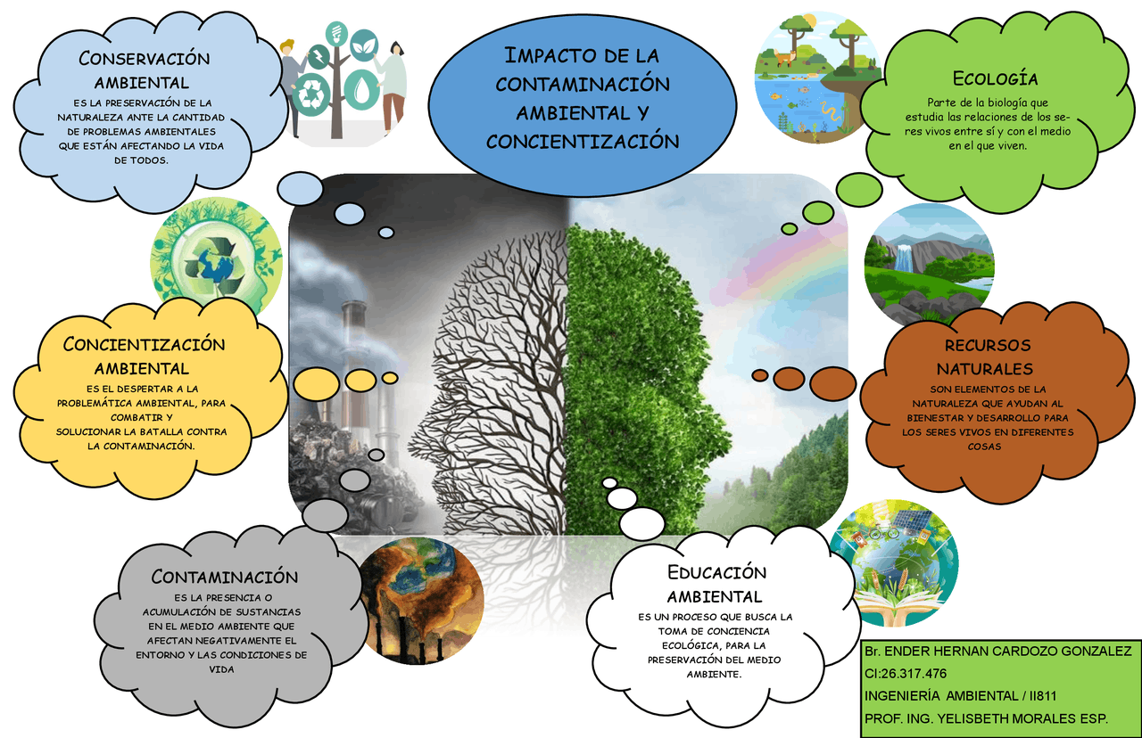 Mapa Conceptual De Ing Ambiental Esquemas Y Mapas Conceptuales De Images