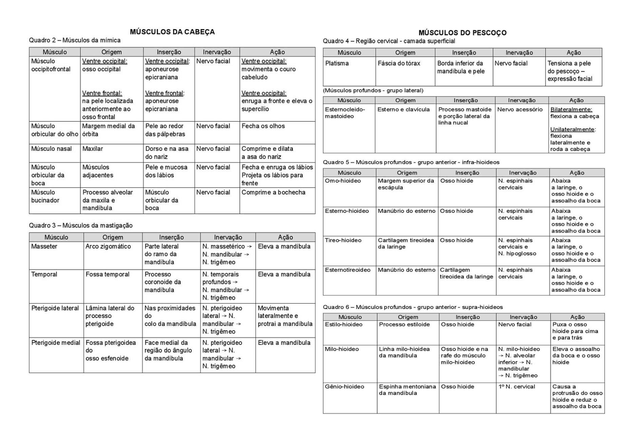 Definição E Exemplos De Origem Inserção E Ação Dos Musculos