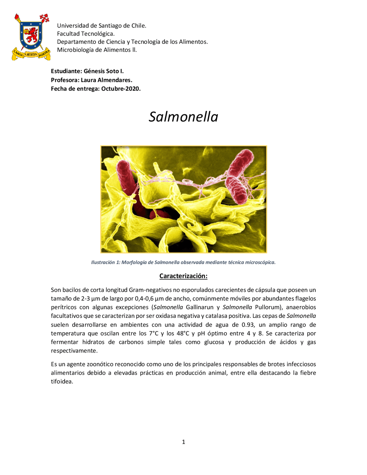 Salmonella y sus caracteristicas Apuntes de Microbiología Docsity