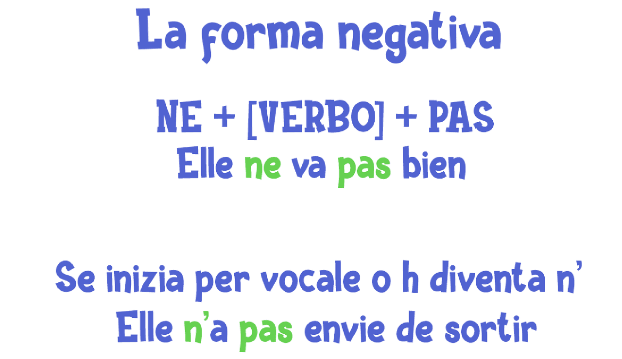 Schema per capire la forma negativa francese | Dispense di Francese