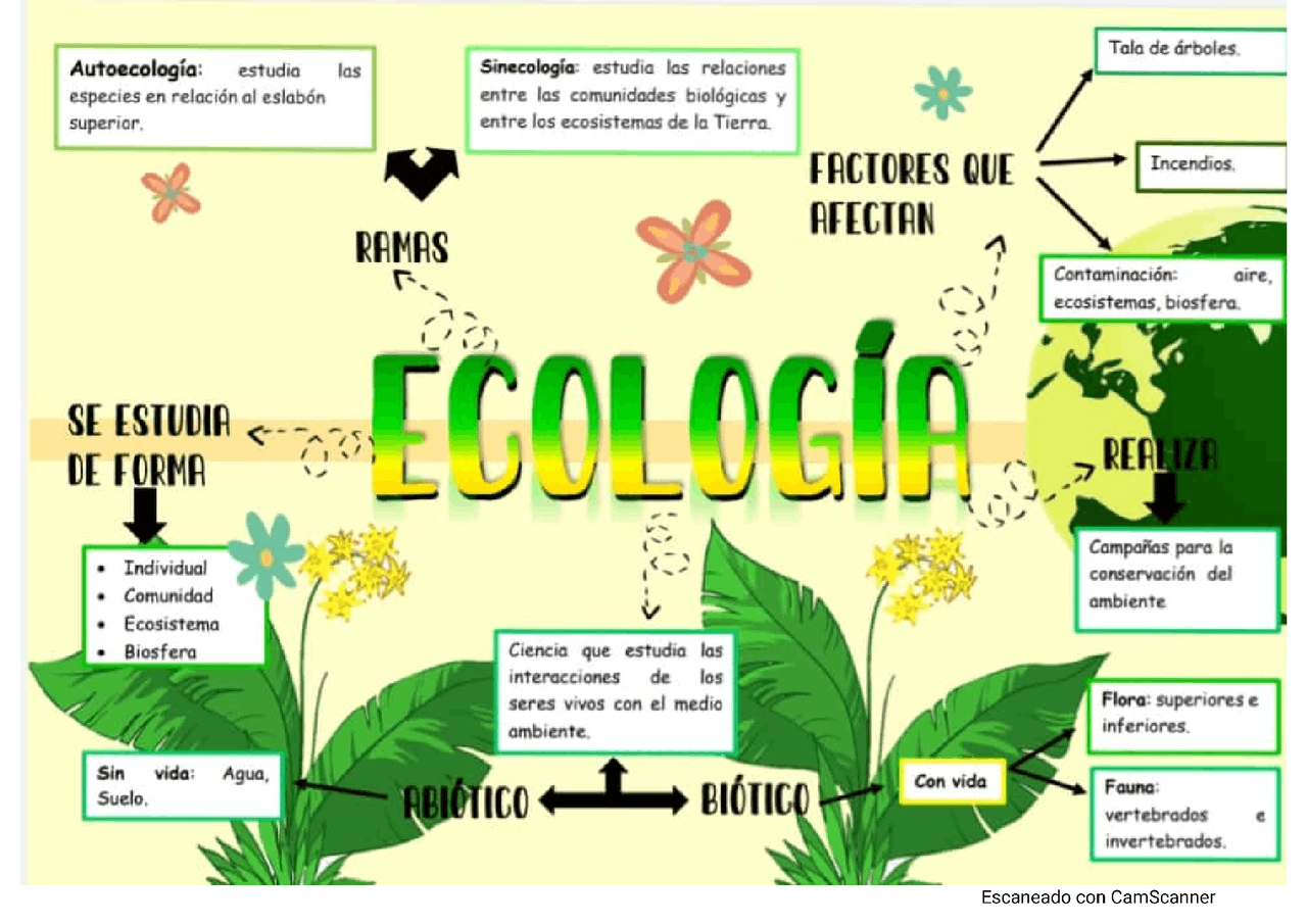 Ecología mapa mental Esquemas y mapas conceptuales de Biología Docsity Ecología mapa mental Esquemas y mapas conceptuales de Biología Docsity