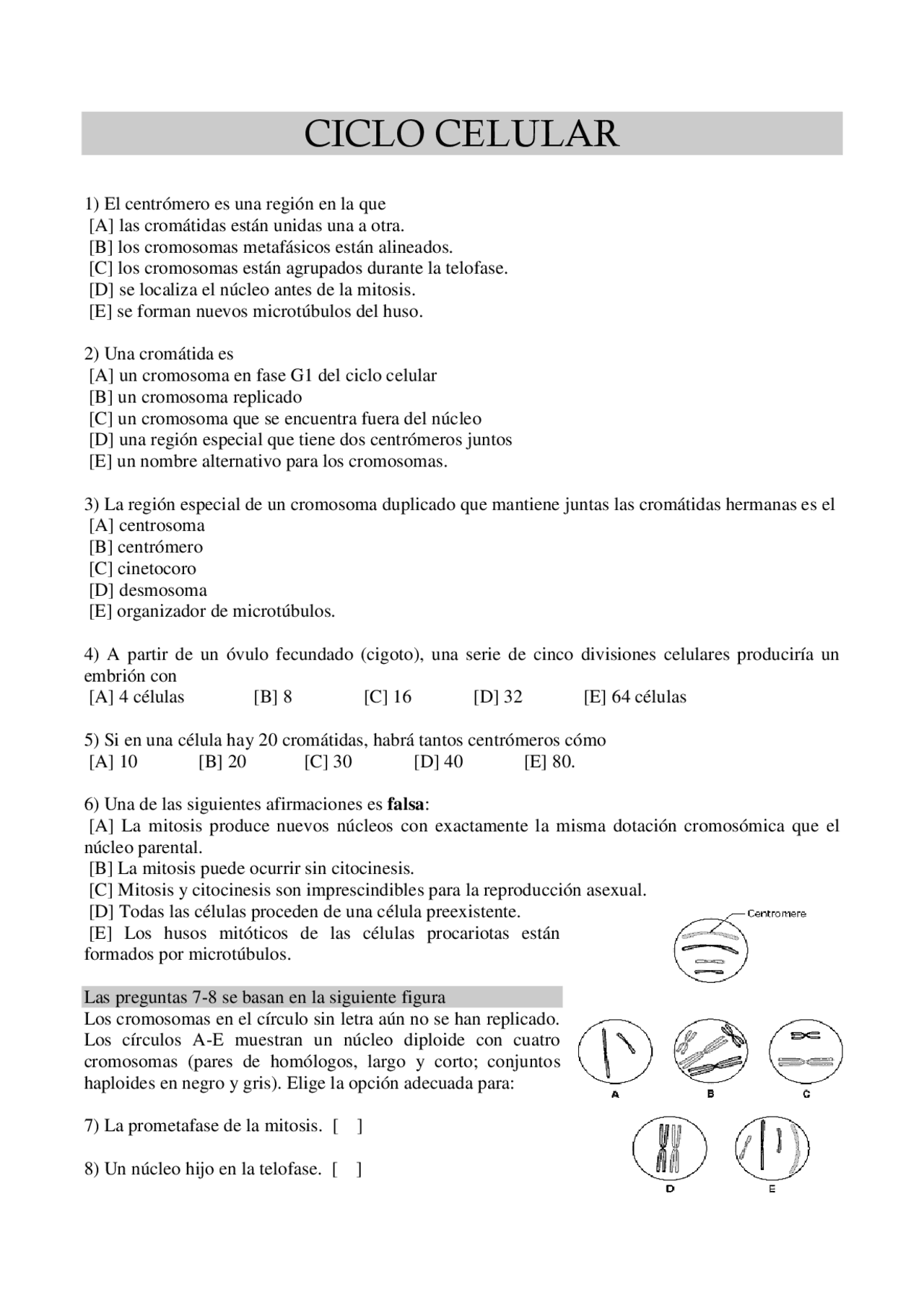 Exercicios Sobre Ciclo Celular - BINKEDU