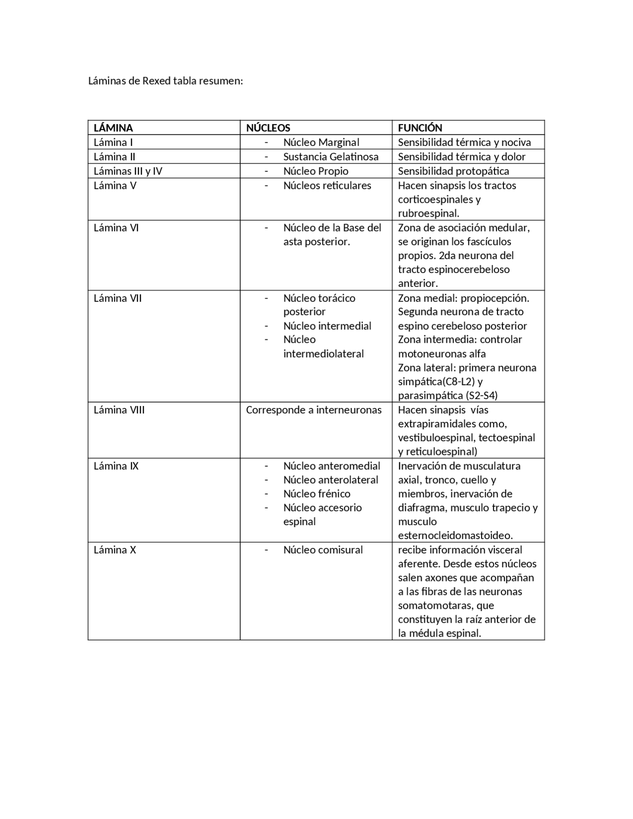 Rexed Laminas de rexed - neuroanatomia | Apuntes de Neuroanatomía | Docsity