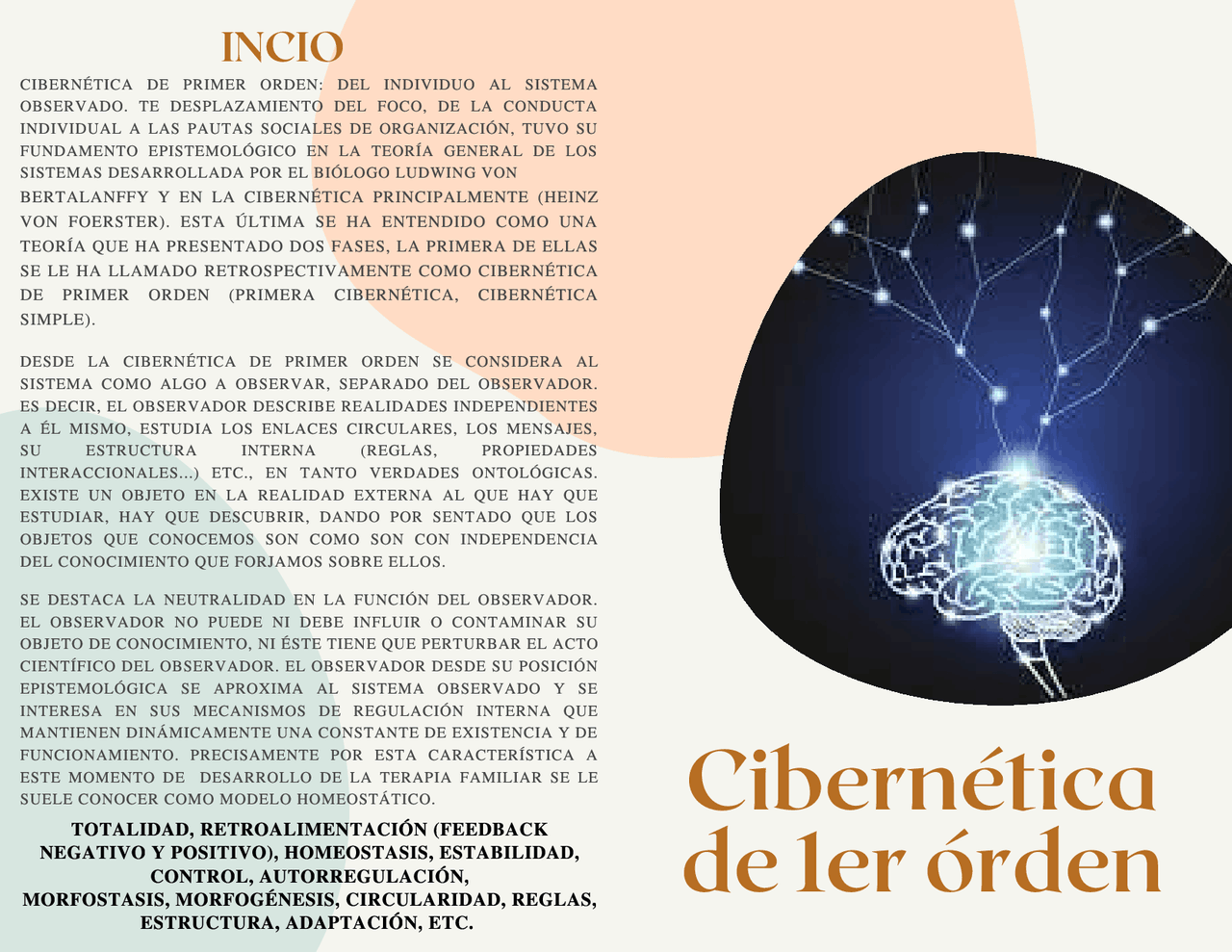Cibernética de primer orden y segundo orden - Docsity