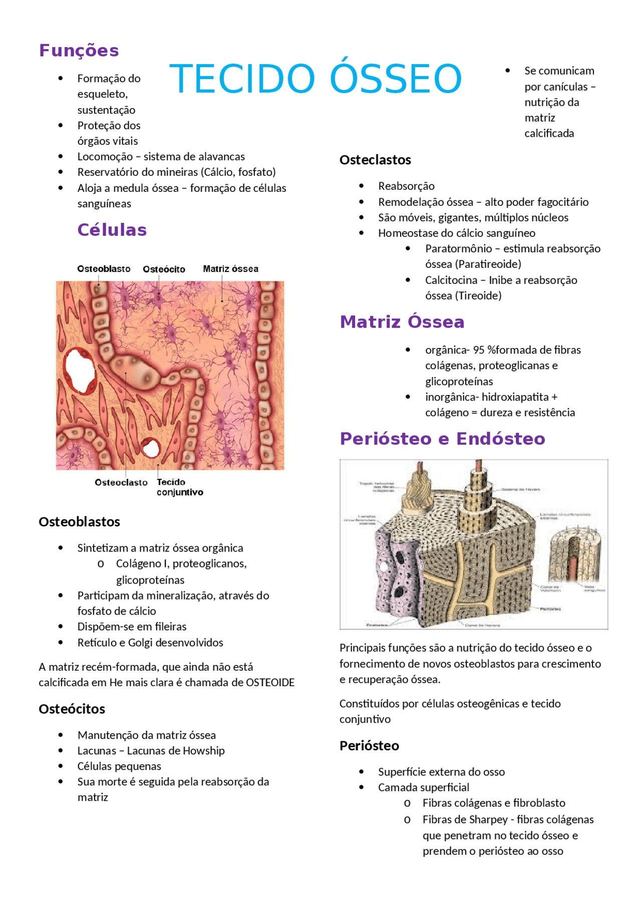 Histologia Tecido ósseo | Resumos Histologia | Docsity