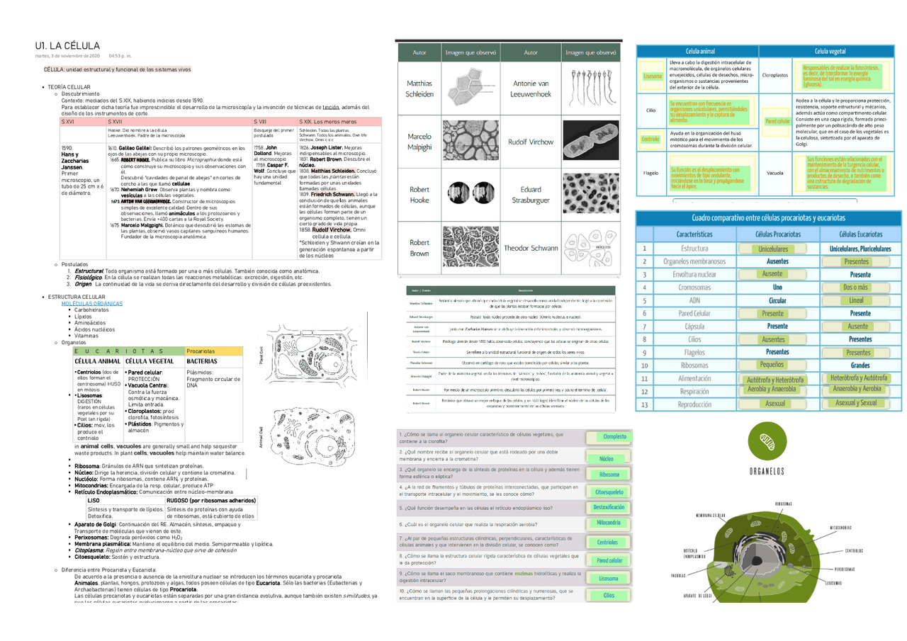 Biologia Unidad 1 La Celula Docsity