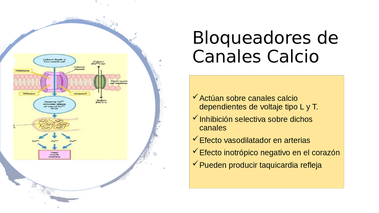 Bloqueadores De Los Canales De Calcio Dihidropiridinicos