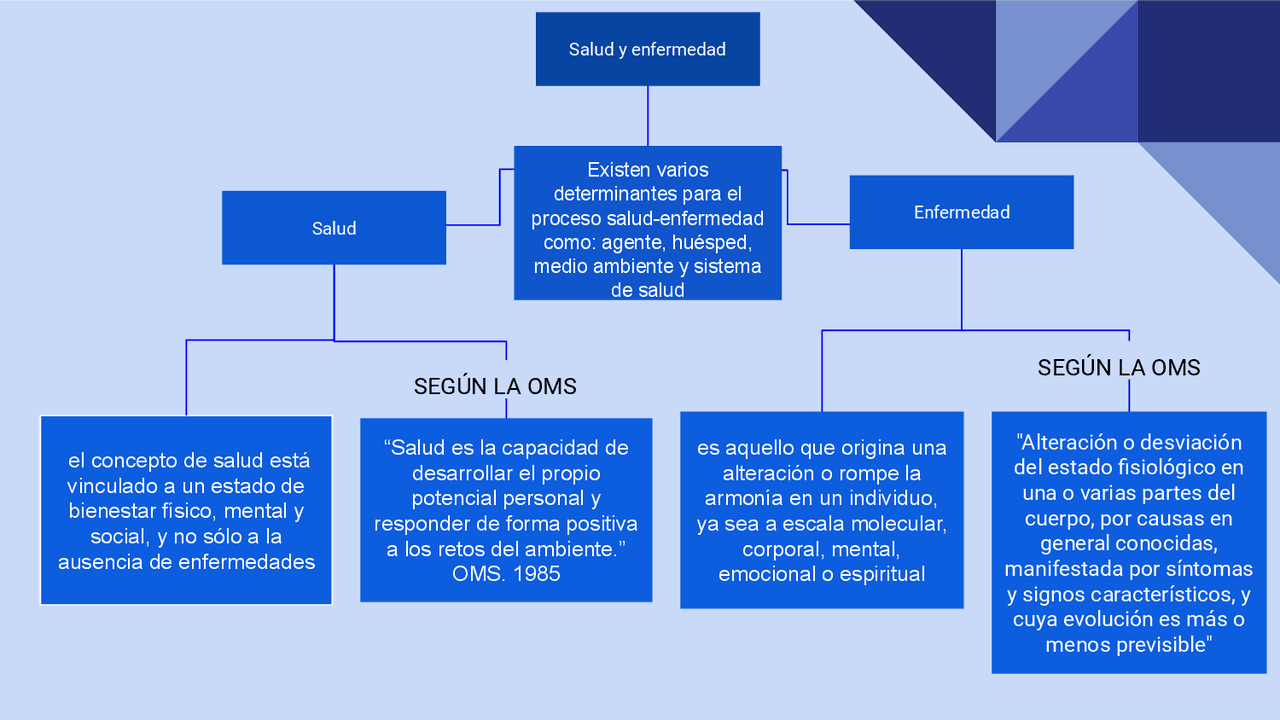 Concepto De Salud Y Enfermedad Mapa Conceptual Donos – Eroppa