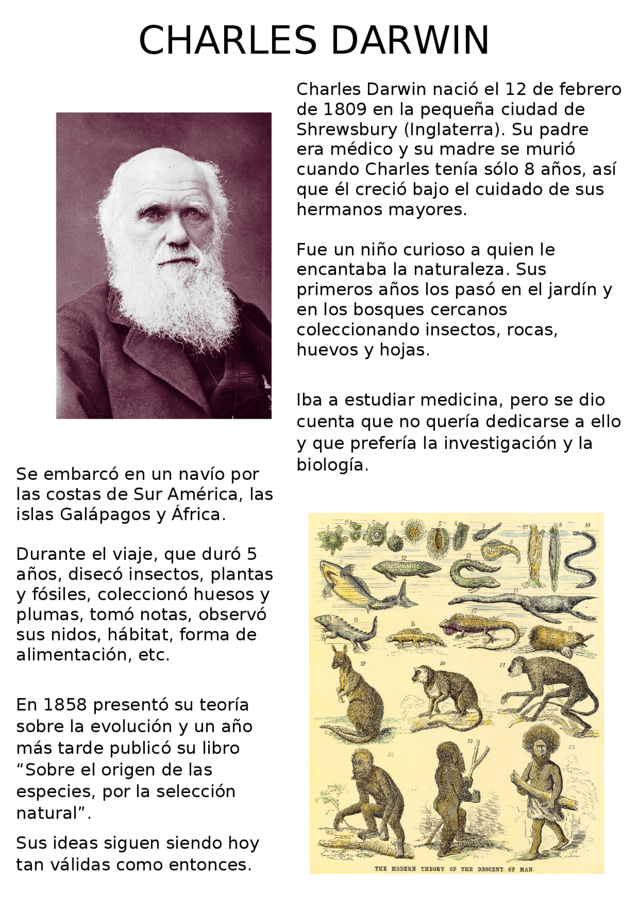 Charles Darwin y su biografía | Apuntes de Cultura Científica | Docsity