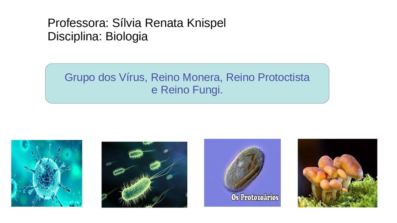 Vírus, bactérias, Protoctistas e fungos | Resumos Biologia | Docsity