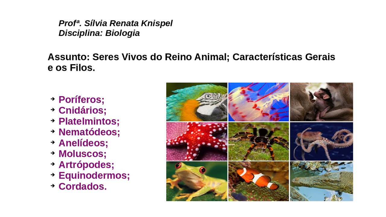 Exemplos De Organismos Do Reino Animal