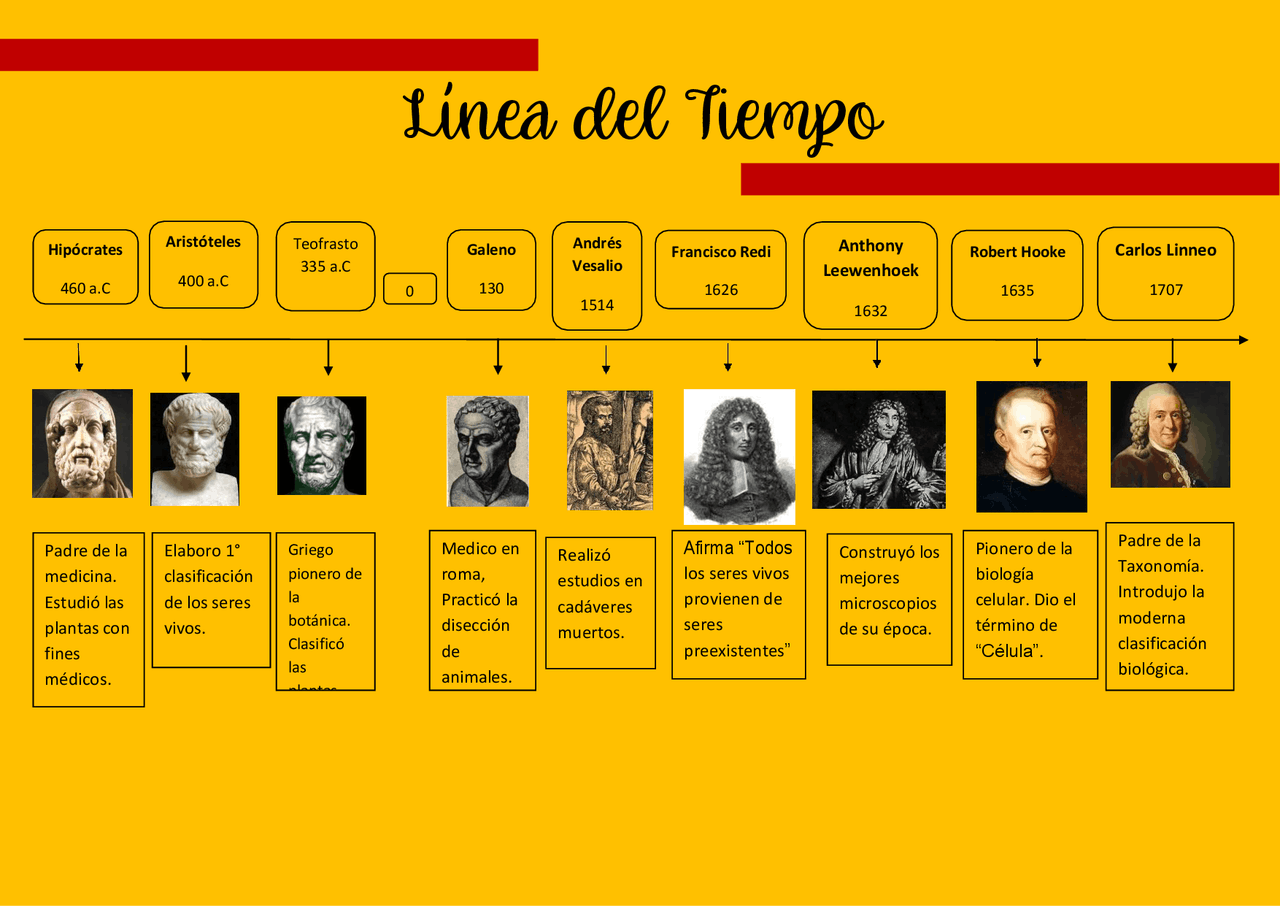 Línea del tiempo de hechos importantes sobre la biología Esquemas y mapas conceptuales de Línea del tiempo de hechos importantes sobre la biología Esquemas y mapas conceptuales de