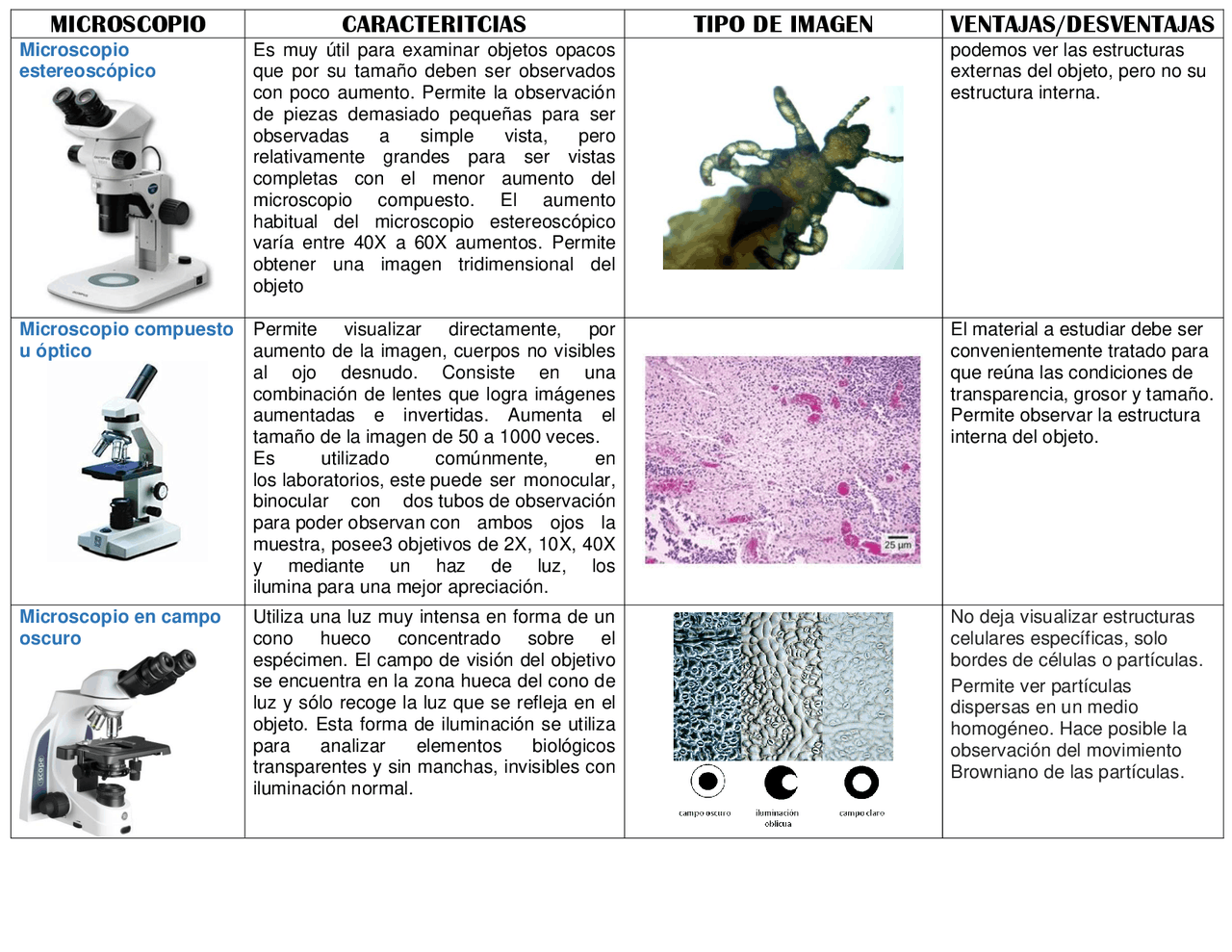 Tipos de microscopios y sus ventajas y desventajas | Apuntes de