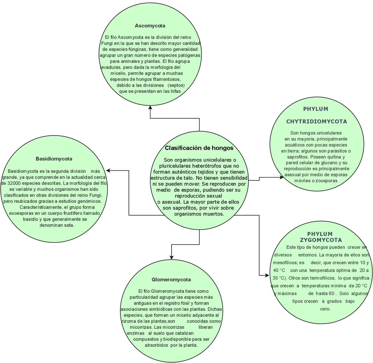 Clasificación de Hongos: Una Guía para el Estudio de los Reinos Fungi -  Prof. Montes | Esquemas y mapas conceptuales de Microbiología | Docsity