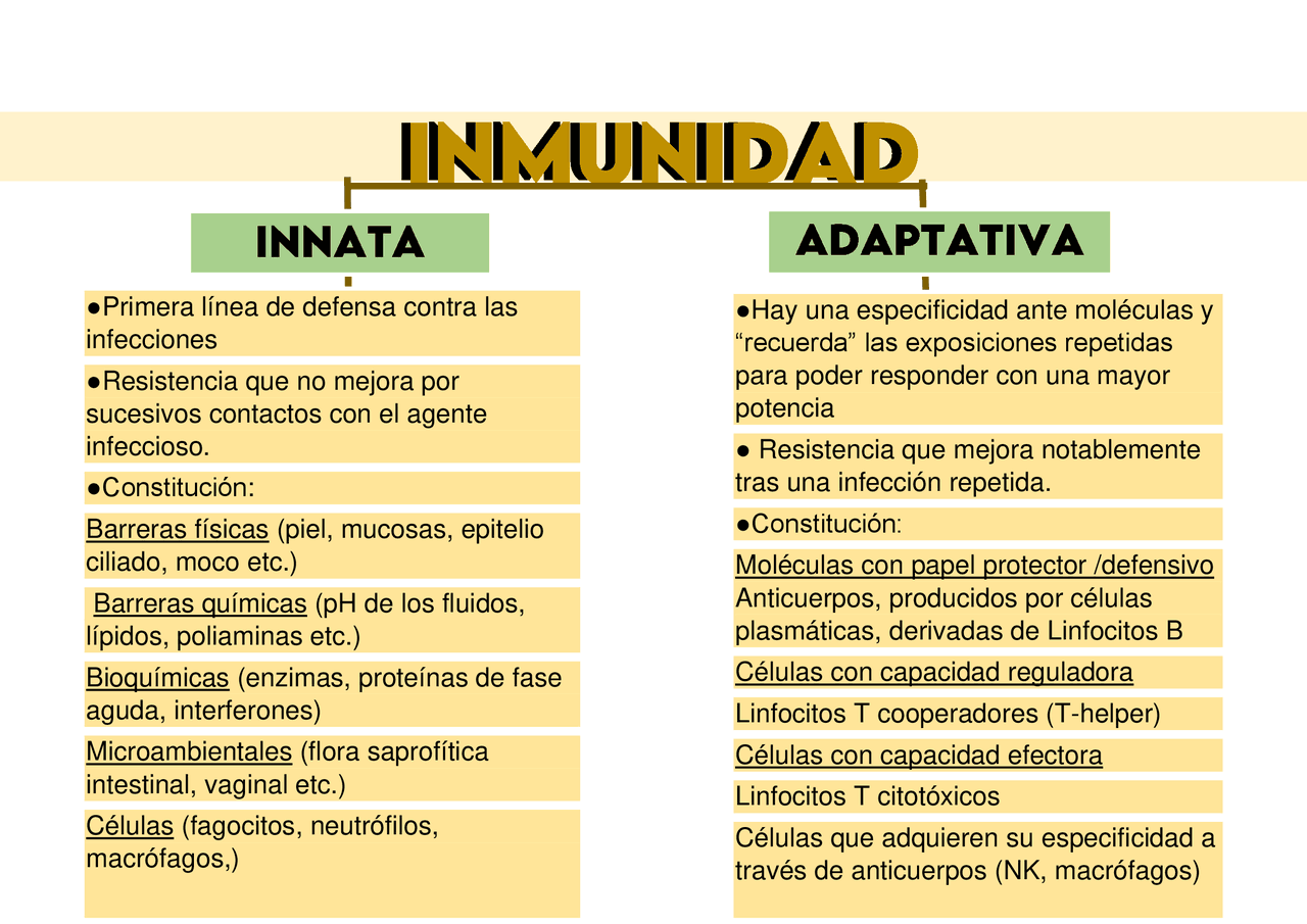 Cuadro comparativo entre inmunidad innata y adquirida | Esquemas y