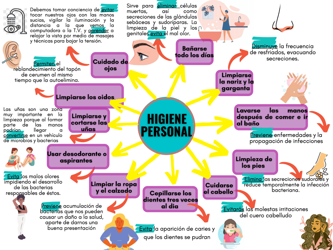 Mapa Mental De La Higiene Personal