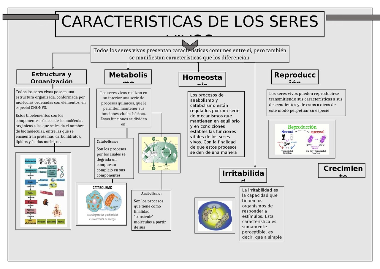 Características de los seres vivos | Esquemas y mapas conceptuales de