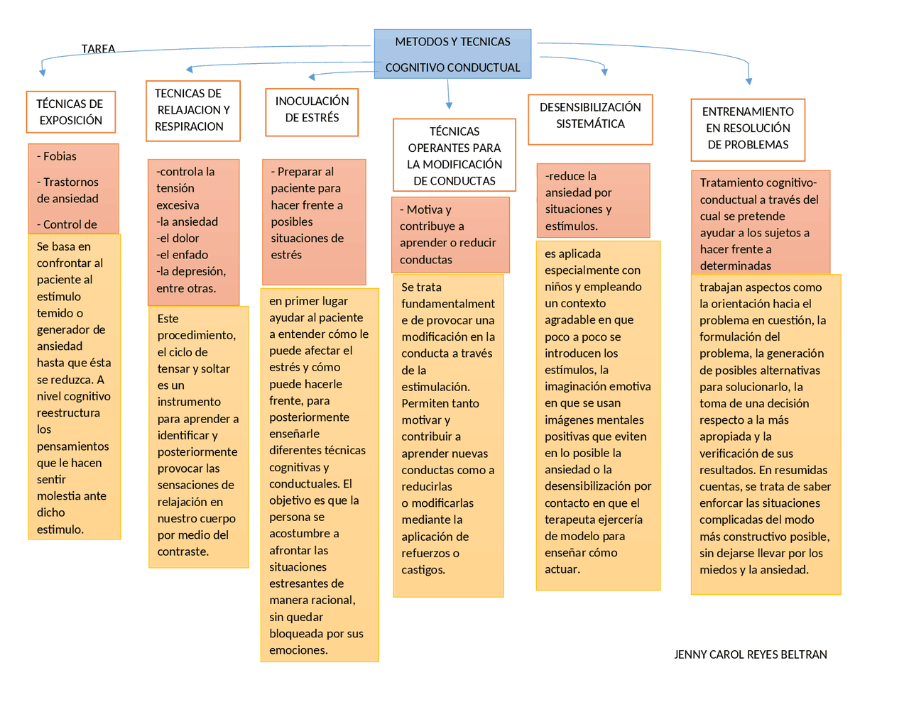 Formato cuadro de tecnicas cognitivo conductual Esquemas y mapas
