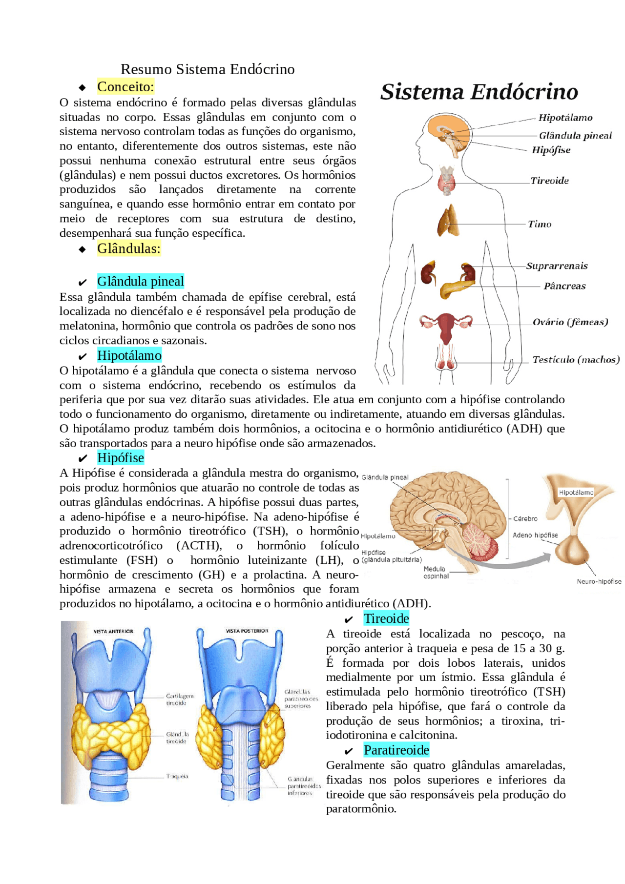 Resumo Sistema Endócrino | Notas de aula Biologia - Docsity