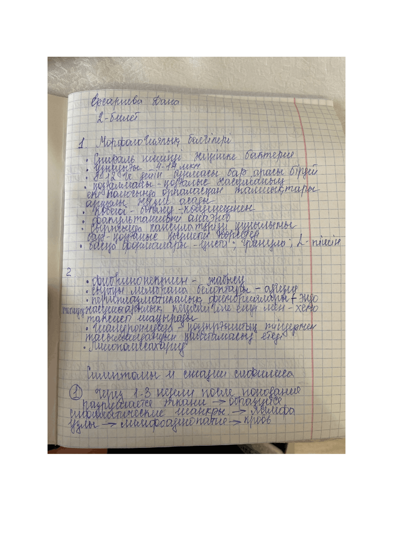 топографическая анатомия - Docsity